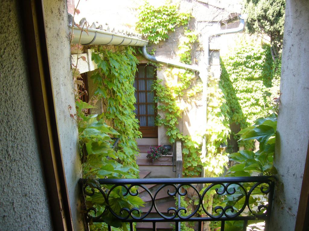 La Passiflore Vergeze Exterior photo